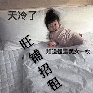 热门沙雕表情包丨天冷了旺铺招租
