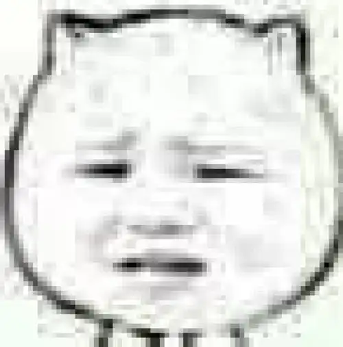 猥琐猫表情系列,猥琐中带点萌
