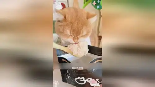 喵咪颜究社家的鸡肉松,平时不爱吃饭的小猫咪,拌上它都能吃一大碗
