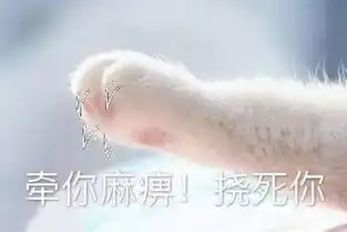 猫咪牵手表情包牵宝宝的手
