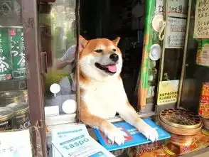 珠海的客气话当善别当真

