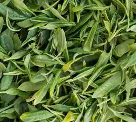 明天屋顶上的歌唱家2半决赛就要来了
