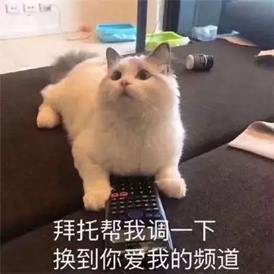抖音最新热门表情包

