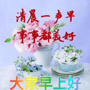 不用打字聊天早上好问候动态表情图片2021创意唯美春天早安问候动画表情图片
