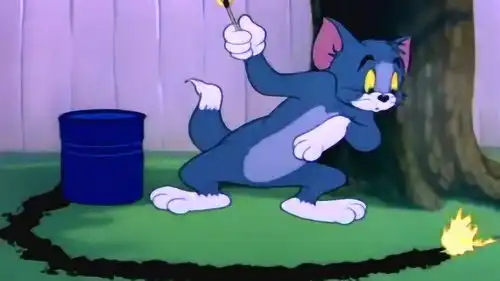 猫和老鼠泰菲的小肚兜真能装东西,能装这么多的东西
