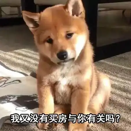 收集了一套表情包,你们过年可能会用到
