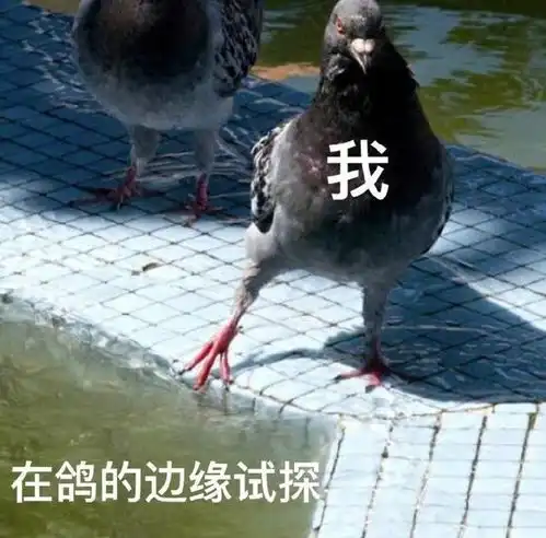 轻松一刻289买的螃蟹,皮筋占76元,这正常吗
