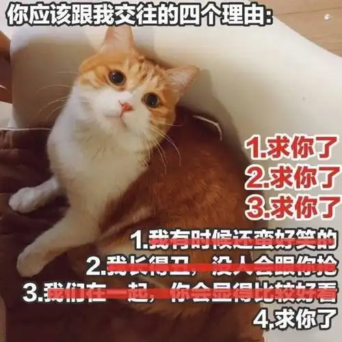 有什么适用于和老公男票撒娇的可爱表情包
