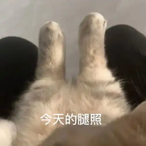 表情包在吗臭妹妹
