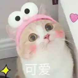 珠江零距离