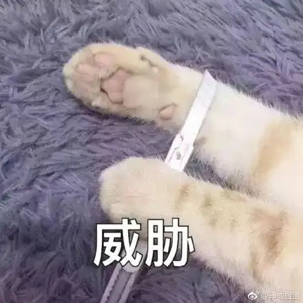 重磅万众期待微信新功能终于来了一大波妹纸正在改名路上
