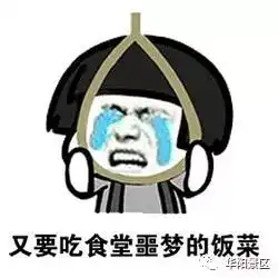 集齐四大国宝,为新学期攒好运
