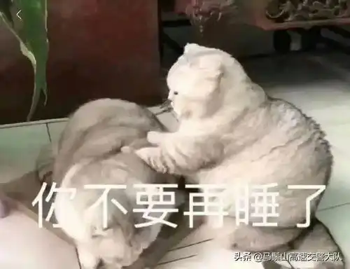 开车犯困咋办
