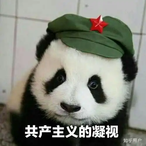 熊猫无能狂怒表情包