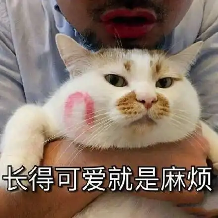 最新热门搞笑表情包图片你看天上那朵云,像不像我借你的100元
