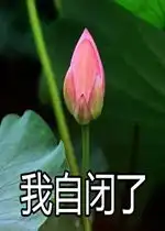 我想开了沙雕表情包我自闭了荷花表情包下载乐游网游戏下载
