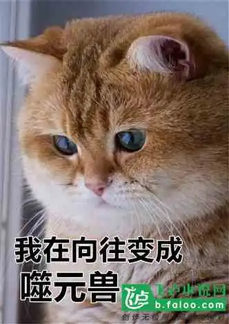 我在向往教小鲜肉踢足球小说同好作品推荐
