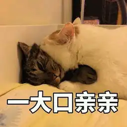 简单干净的女生网名
