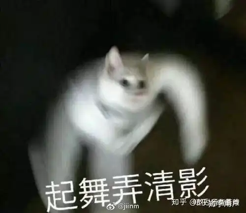 有哪些沙雕气很浓的头像
