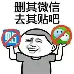 天降大任表情包