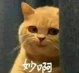 天天吸猫,你吸过熊猫吗
