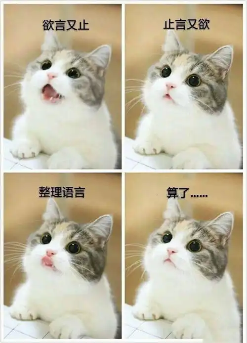 家里有蟑螂想灭的,给你们安利个东西,亲测有效
