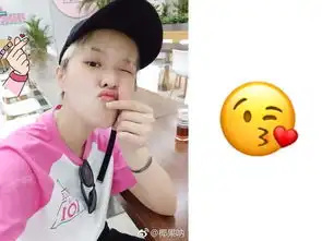 组图相似度一百分火箭少女sunnee自拍照完美copy表情包
