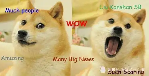 主人假装喂柴犬,下一秒狗狗的表情笑翻,网友奥斯卡狗帝
