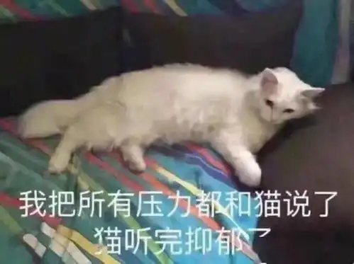 表情包没心没肺快乐加倍

