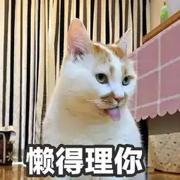 我的表情包去世了搜狐宠物搜狐网
