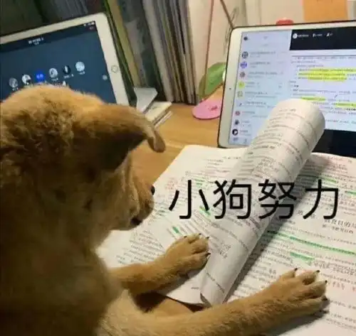 小白人头像表情包图片复
