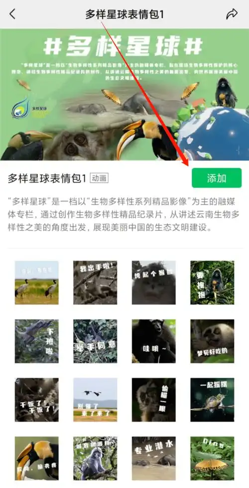 哇云南特有的这组表情包太萌了,速速下载