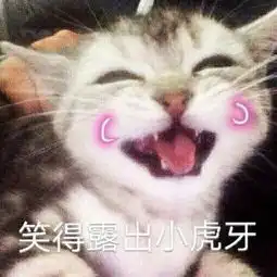 超萌撩男朋友的表情包

