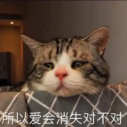 宝沃拜腾华晨中华一汽马自达,2021那些消失的车企
