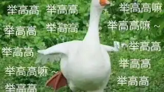 中秋节这个地方有好玩的,我不允许你们不知道

