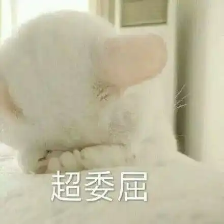 可爱萌委屈表情包
