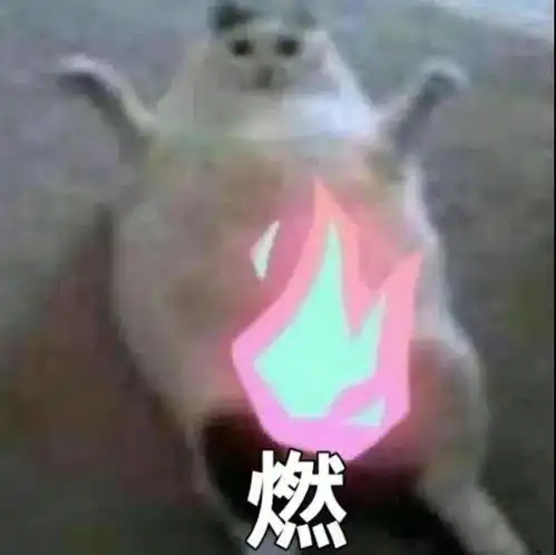 王守义说13香丨第202期喵表情
