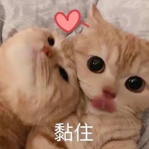 小布说天气小布的七夕仪式感,安排上了