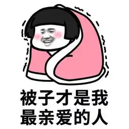 表情包天冷了,裹紧我的小被子
