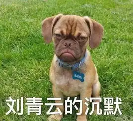 天津相声广播原来我的脸还有这么大的用途
