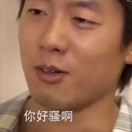 洪世贤你好骚啊表情包大全

