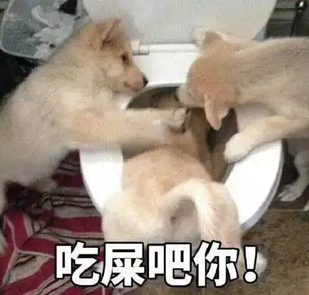 斗图表情包单身狗专场
