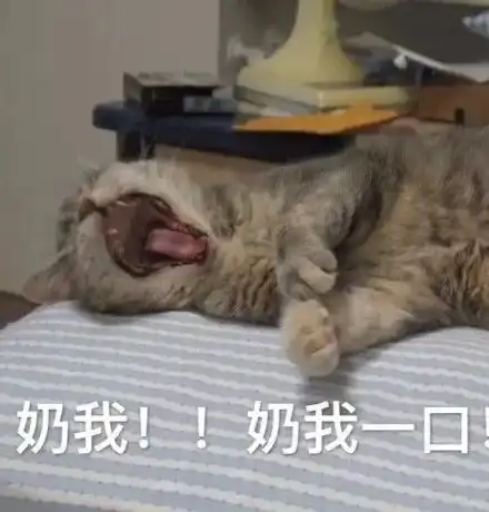 点开警告狗粮管饱不要钱
