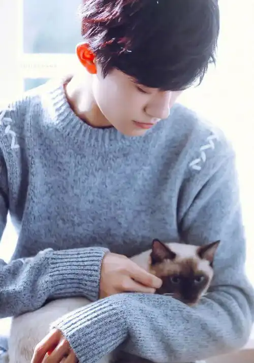 易烊千玺的猫火到知否粉丝圈还是以一种特殊的方式,实红
