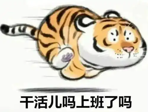 黄色双预警接下来义乌天气
