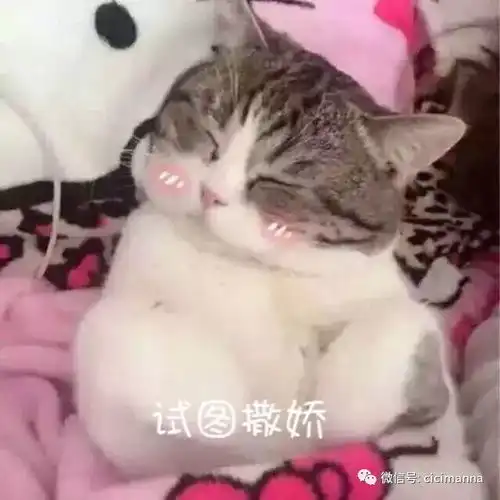 心理恋爱久了,男的为何不想见女友
