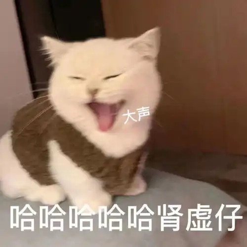 沙雕表情包
