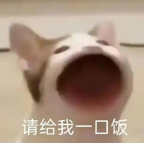 花子会既然聊到这了,不开个贴真的说不过去了
