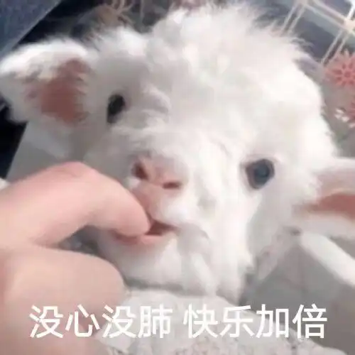 发沙雕表情包的人是否内心也有沙雕的欲望,并且认为沙雕其实很开心
