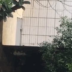 在吗在干嘛打招呼表情包要不要啊
